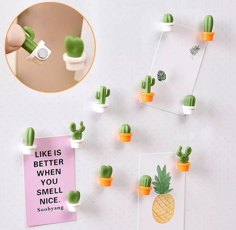 Mini Potted Plants Magnets