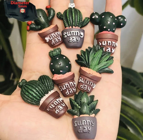 Mini Potted Cacti Magnets