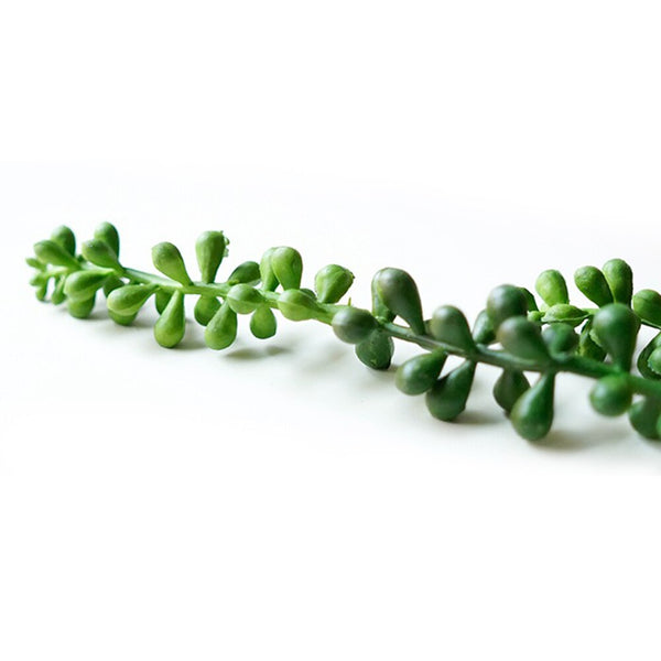 Lifelike Natural String Succulent